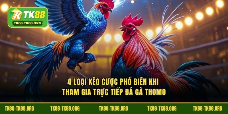 4 loại kèo cược phổ biến khi tham gia trực tiếp đá gà thomo