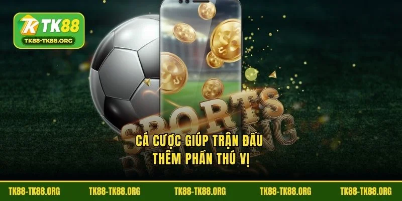 Tiện ích bổ sung cá đánh giá bổ sung thêm phần thú vị