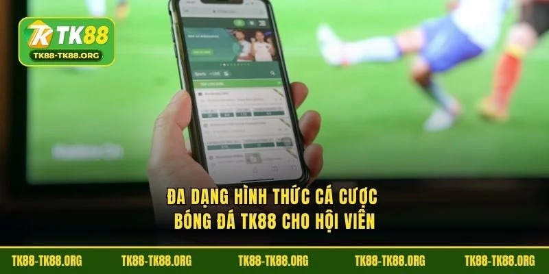 Đánh giá bóng đá TK88 dạng thức cho người dùng