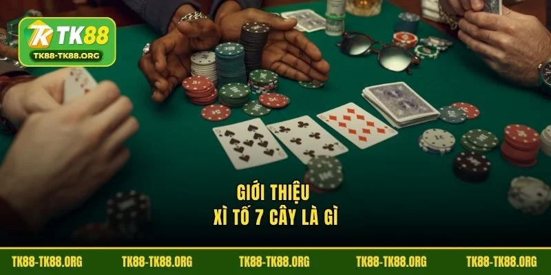 Giới thiệu Xì tố 7 cây là gì