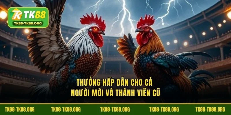 Thưởng hấp dẫn cho cả người mới và thành viên cũ